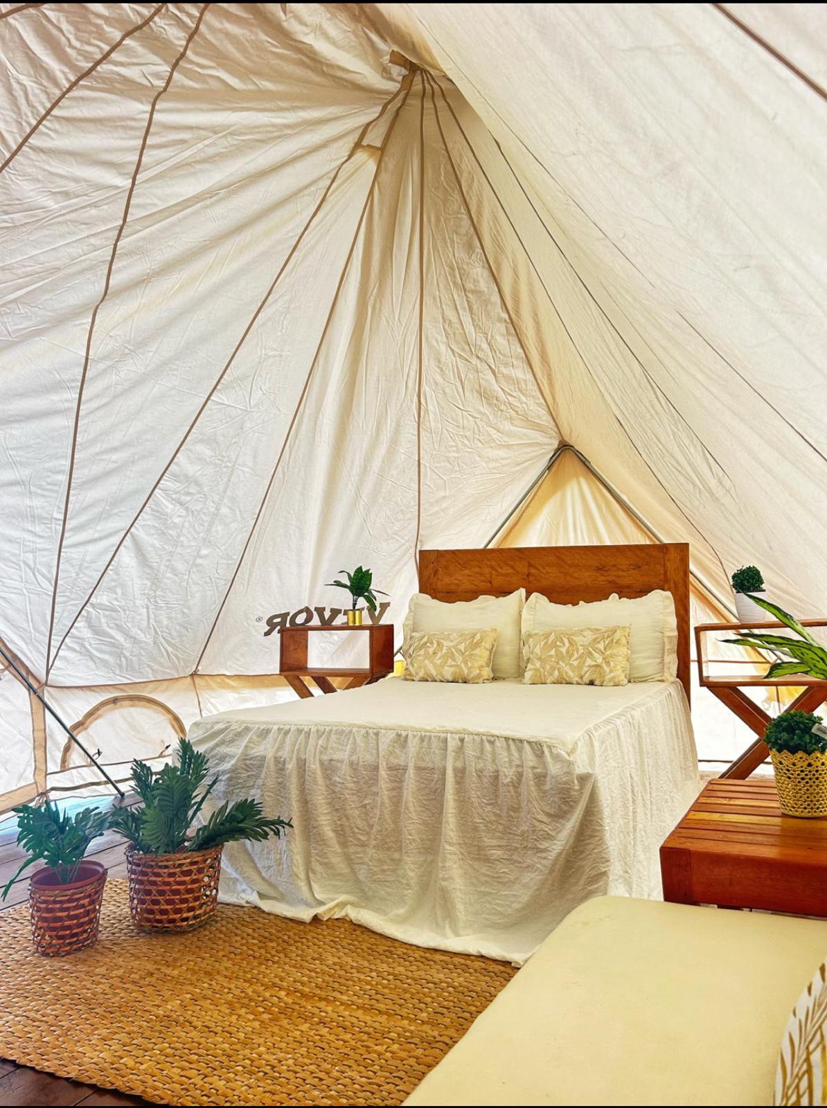 Vista del Renaco Glamping